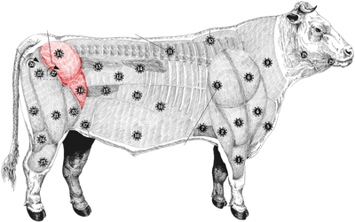 Gepelde Biefstuk meatmap